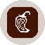 Chipotle Tokenized Stock (Ondo) icon